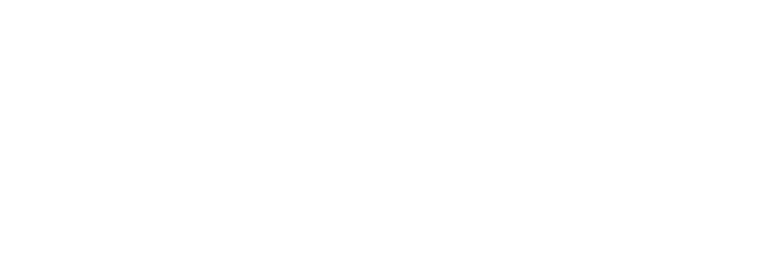MF Logo Wordmark Stacked White ppi