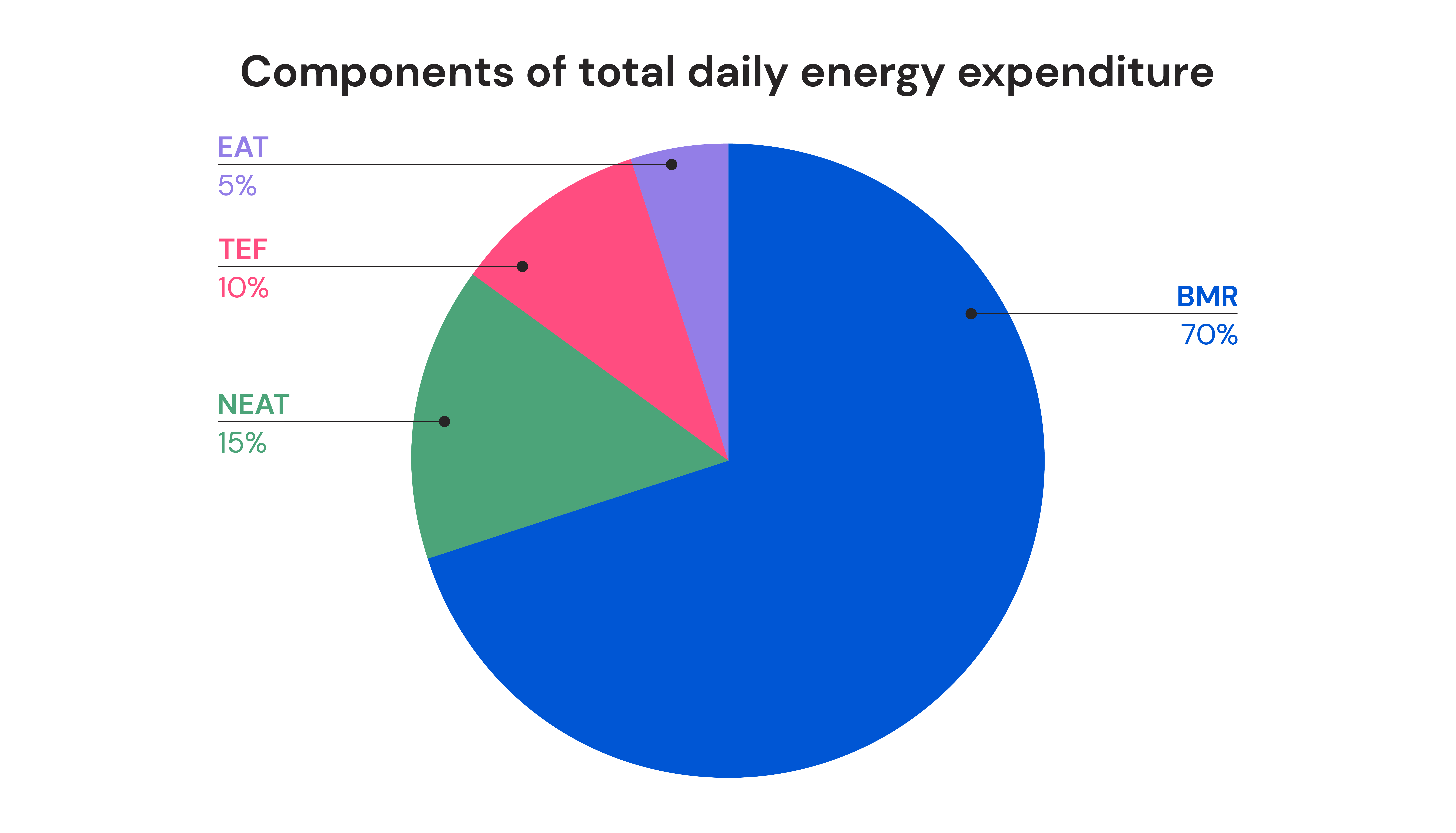 Description of total daily energy expenditure (TDEE)